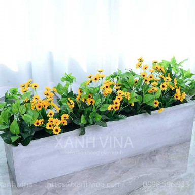 Hàng rào lá hoa hướng dương